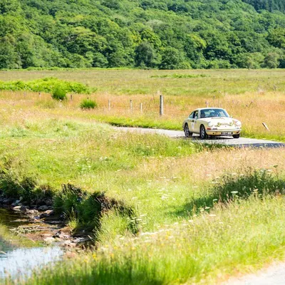 West Highland Cloverleaf July
