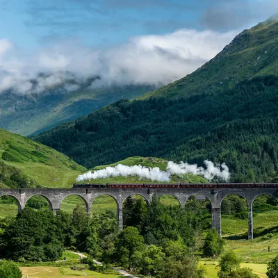 West Highland Cloverleaf July