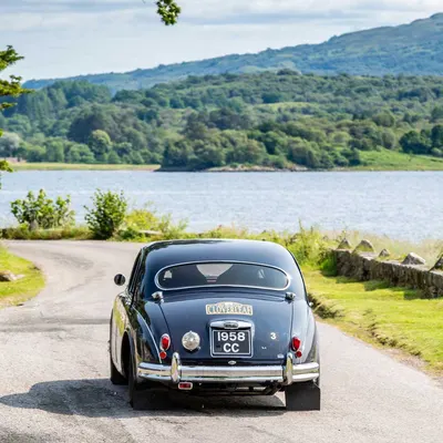 West Highland Cloverleaf July