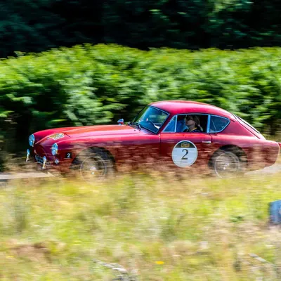 West Highland Cloverleaf July