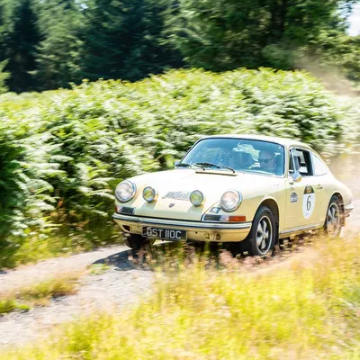 West Highland Cloverleaf July