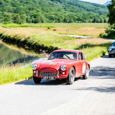 West Highland Cloverleaf July
