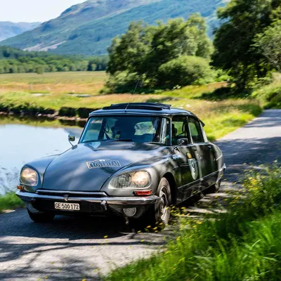 West Highland Cloverleaf July