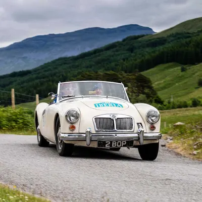 West Highland Cloverleaf June