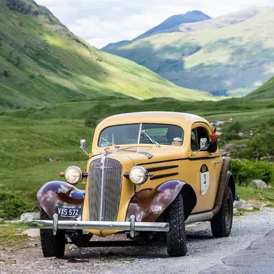 West Highland Cloverleaf June