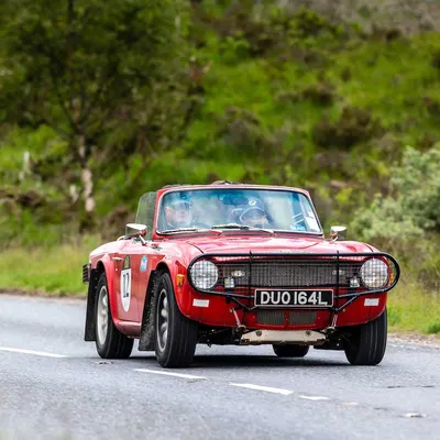 West Highland Cloverleaf June