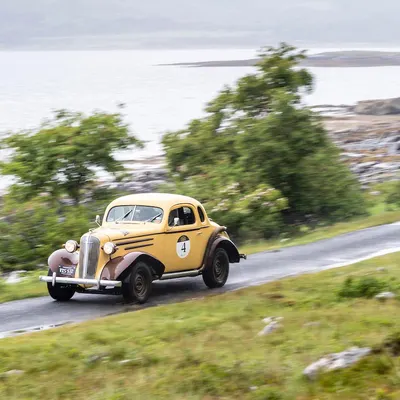 West Highland Cloverleaf June