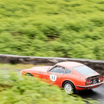 West Highland Cloverleaf June