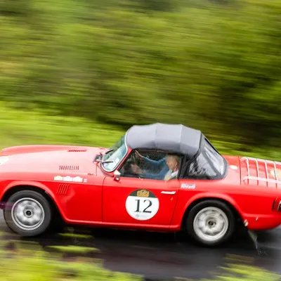 West Highland Cloverleaf June