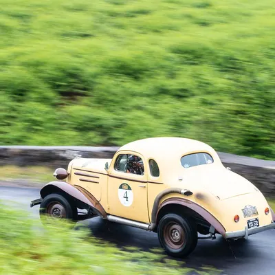 West Highland Cloverleaf June