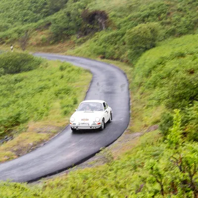 West Highland Cloverleaf June