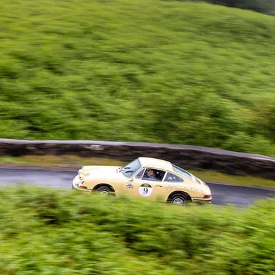 West Highland Cloverleaf June