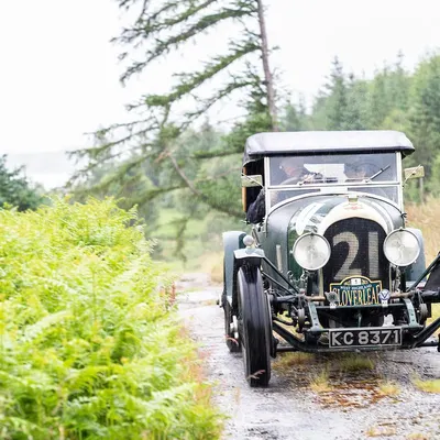 West Highland Cloverleaf June