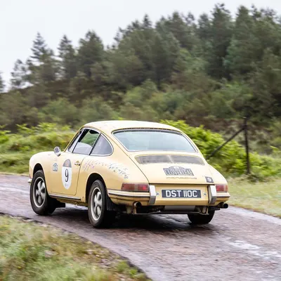 West Highland Cloverleaf June