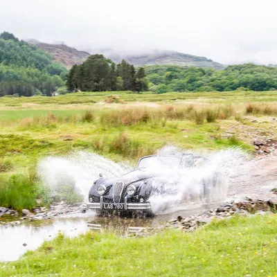 West Highland Cloverleaf June