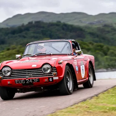 West Highland Cloverleaf June