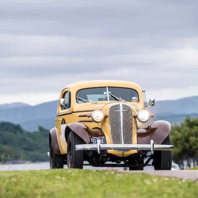 West Highland Cloverleaf June
