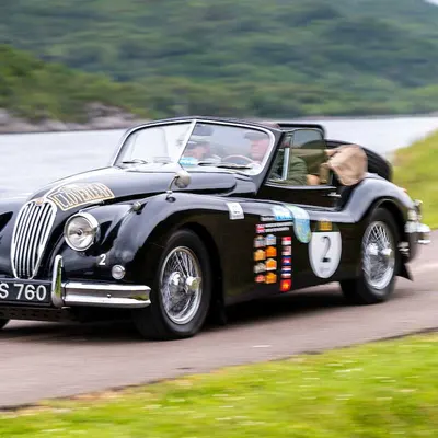 West Highland Cloverleaf June