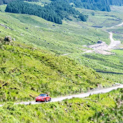 West Highland Cloverleaf June