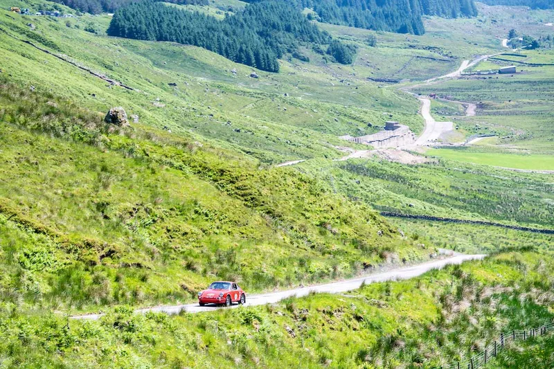 West Highland Cloverleaf June