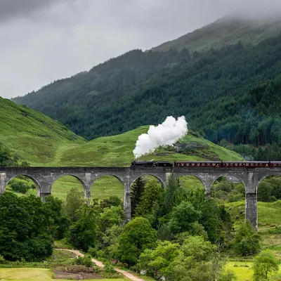 West Highland Cloverleaf June
