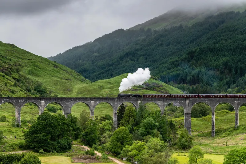 West Highland Cloverleaf June