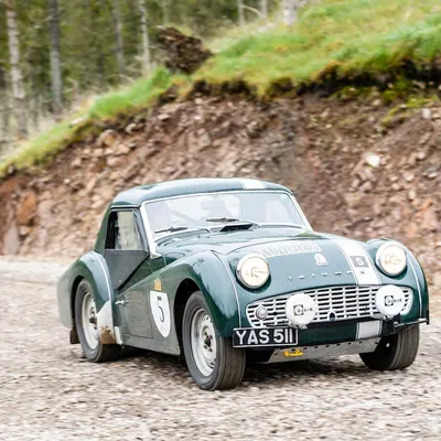 West Highland Cloverleaf June