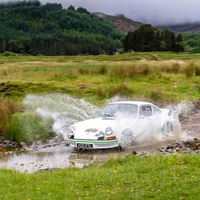 West Highland Cloverleaf June