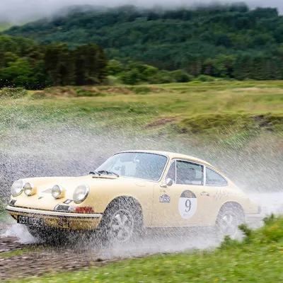 West Highland Cloverleaf June