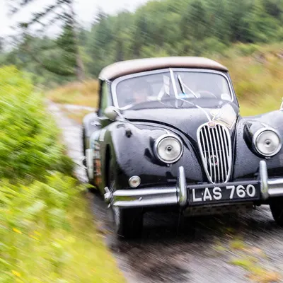 West Highland Cloverleaf June