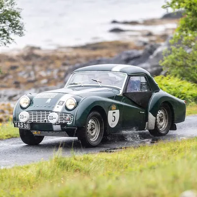 West Highland Cloverleaf June