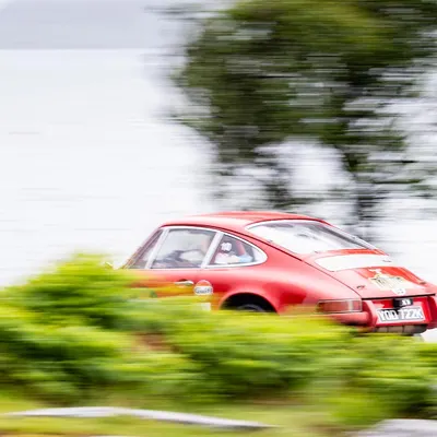 West Highland Cloverleaf June