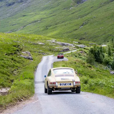 West Highland Cloverleaf June
