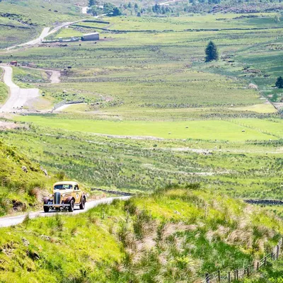 West Highland Cloverleaf June