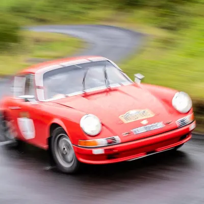 West Highland Cloverleaf June