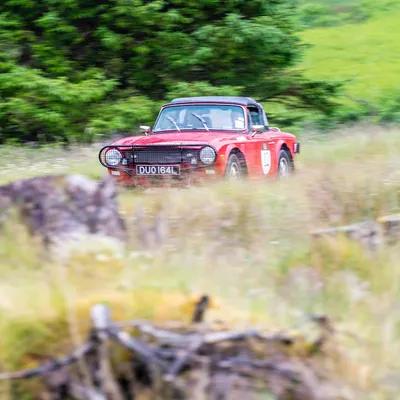West Highland Cloverleaf June