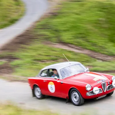 Yorkshire Cloverleaf July
