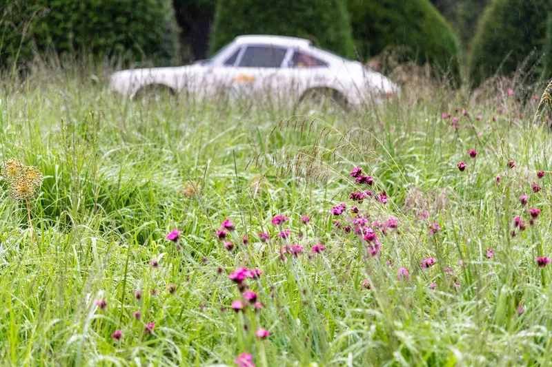 Yorkshire Cloverleaf July
