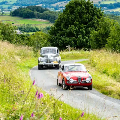 Yorkshire Cloverleaf July