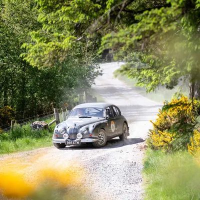 Yorkshire Cloverleaf June