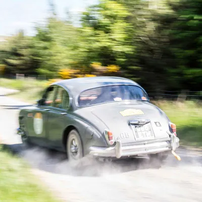 Yorkshire Cloverleaf June