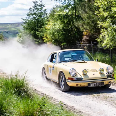 Yorkshire Cloverleaf June
