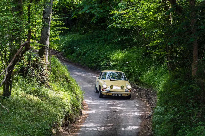 Yorkshire Cloverleaf June